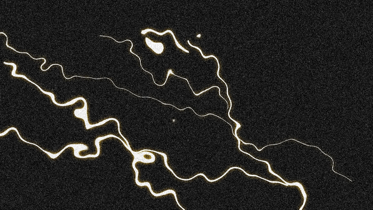 Generative visual still from the Cycle performance