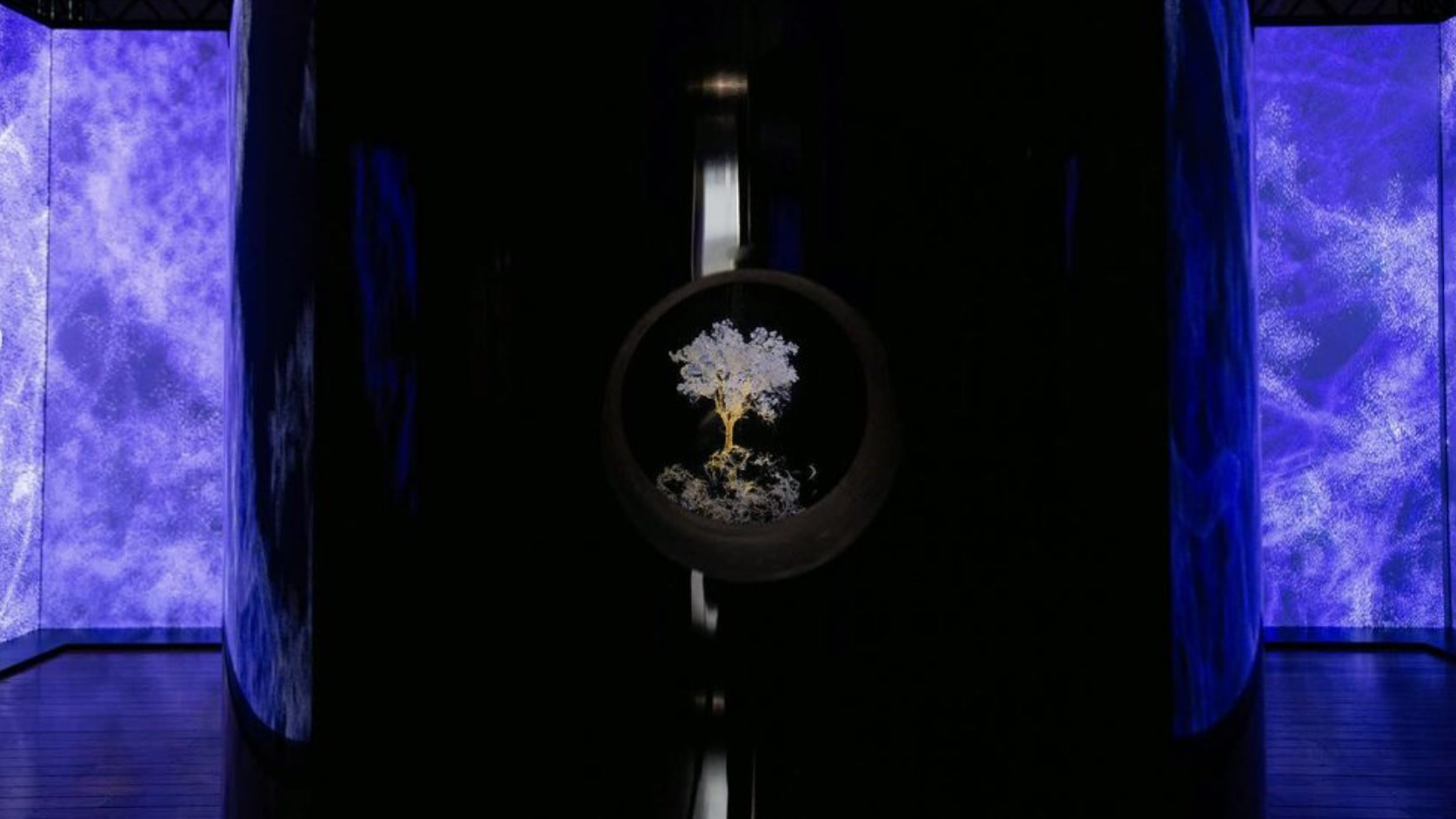 Ghost Trees - Immersive Installation